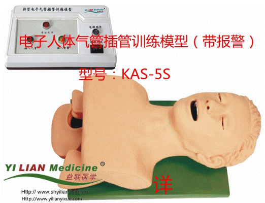 電子人體氣管插管訓(xùn)練模型