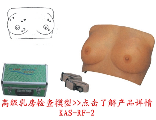 高級(jí)乳房檢查模型