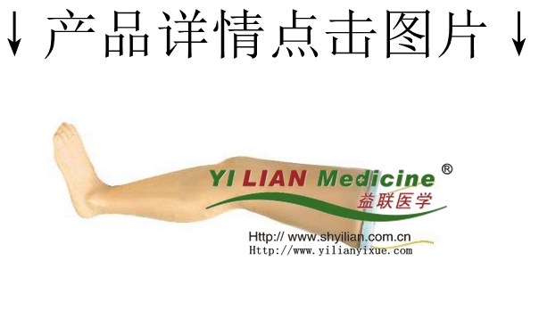 高級(jí)靜脈輸液腿模型